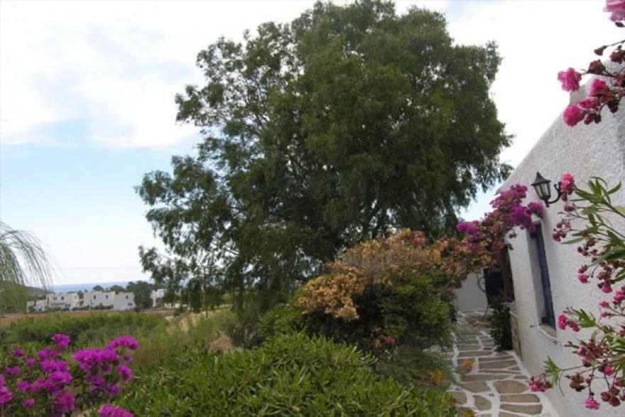 Eva Villa Mylopotas Oda fotoğraf
