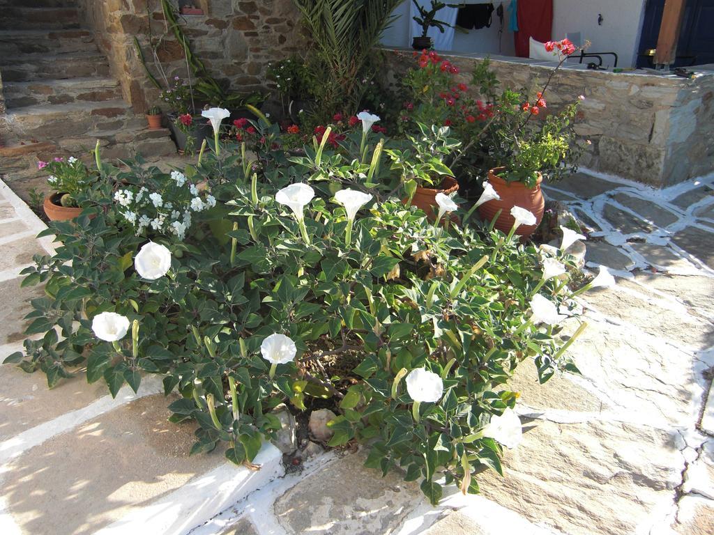 Eva Villa Mylopotas Dış mekan fotoğraf