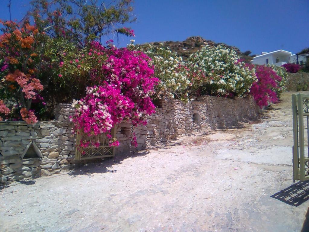 Eva Villa Mylopotas Dış mekan fotoğraf